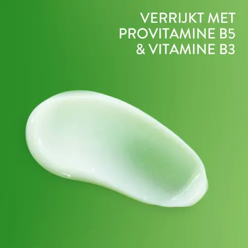 Miniatuur 2