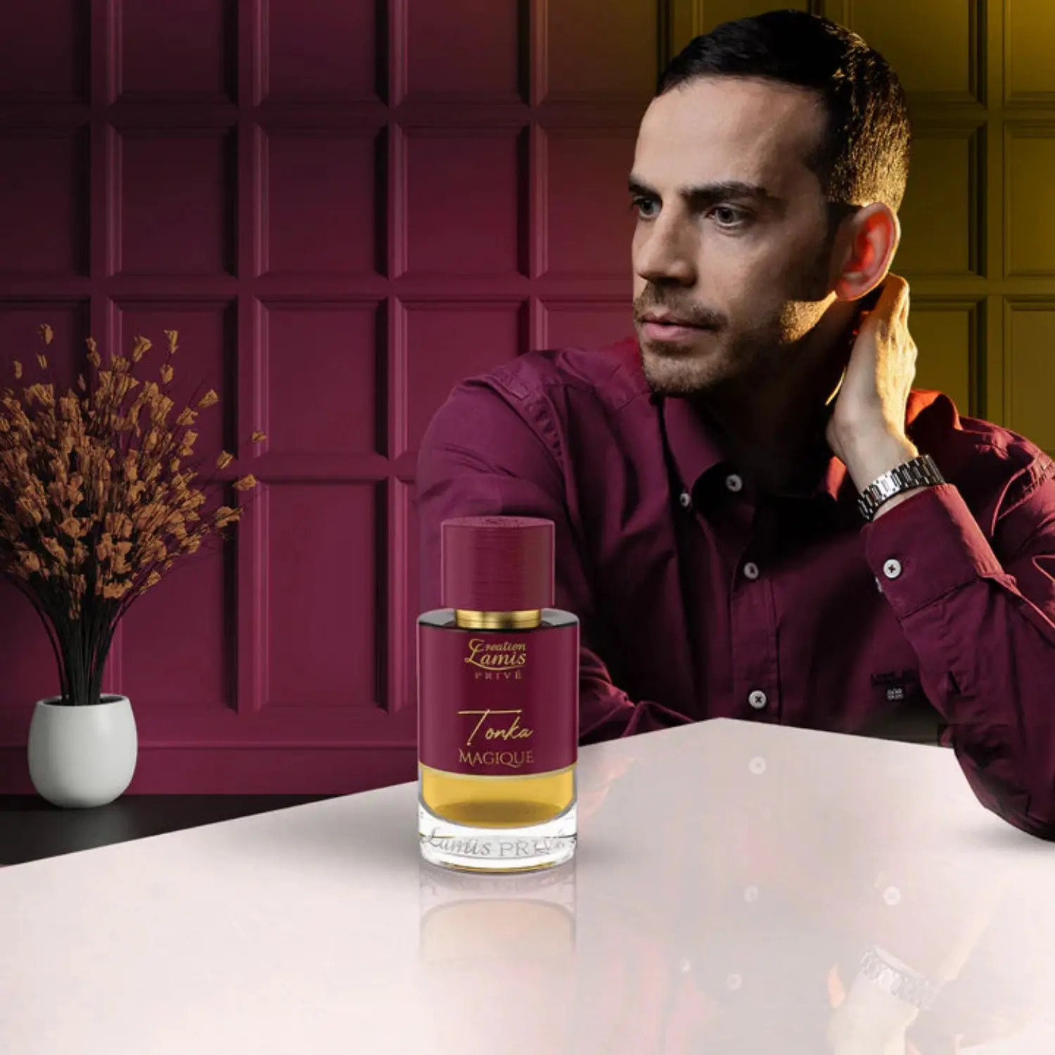 Tonka Magique - Image 5