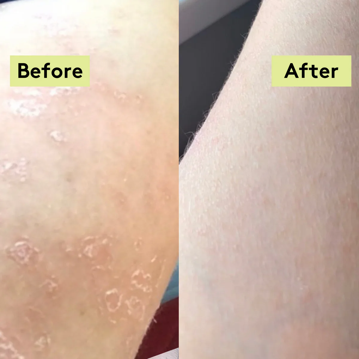 Mint Black Tea Body Scrub - Image 2