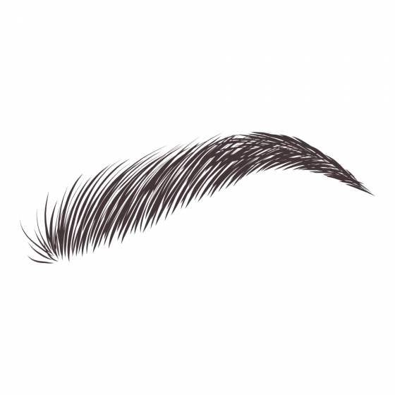 Dybrow Black - Image 2