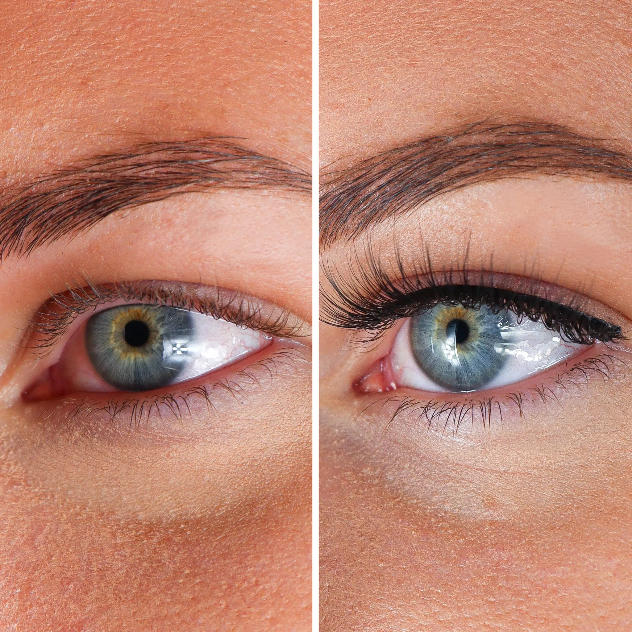 Lashes Eline - Image 3